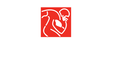 fanatics-licensing-management-nflpa-color-logo fanatics-licensing-management-nflpa-color-logo